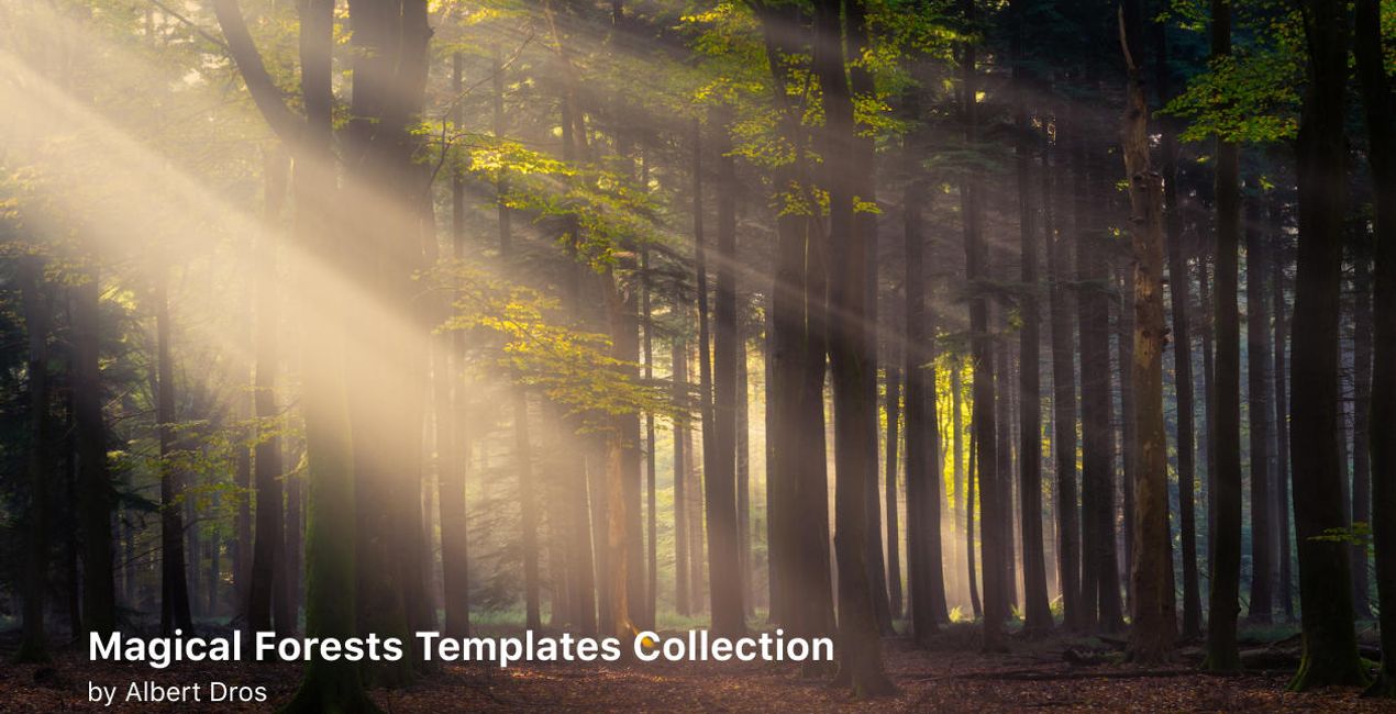 Complete Magical Forests Bundle is a photo enhancement asset for Luminar(46)