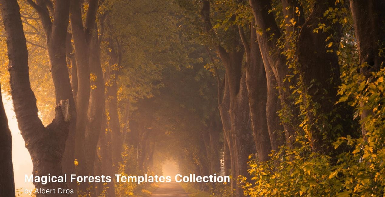 Complete Magical Forests Bundle is a photo enhancement asset for Luminar(50)