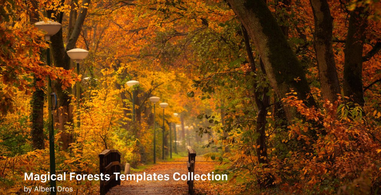 Complete Magical Forests Bundle is a photo enhancement asset for Luminar(52)
