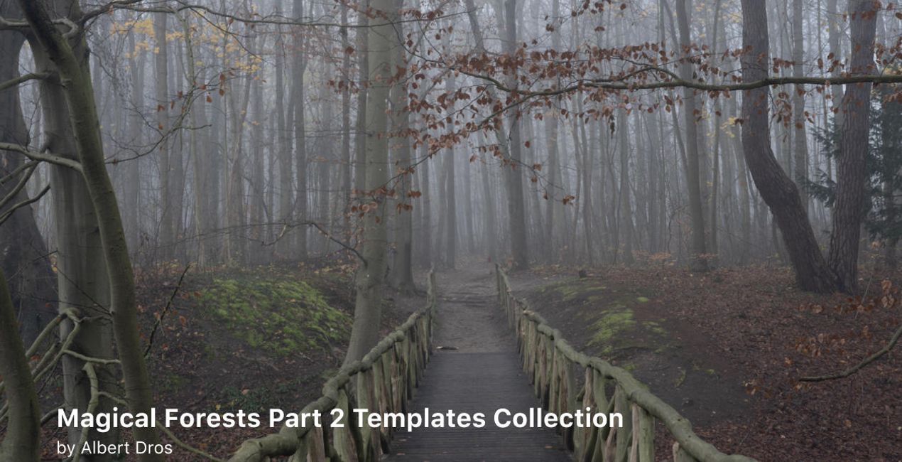 Complete Magical Forests Bundle is a photo enhancement asset for Luminar(39)