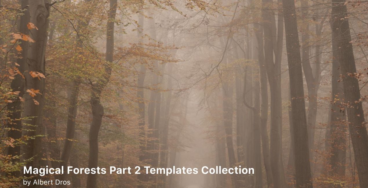 Complete Magical Forests Bundle is a photo enhancement asset for Luminar(41)