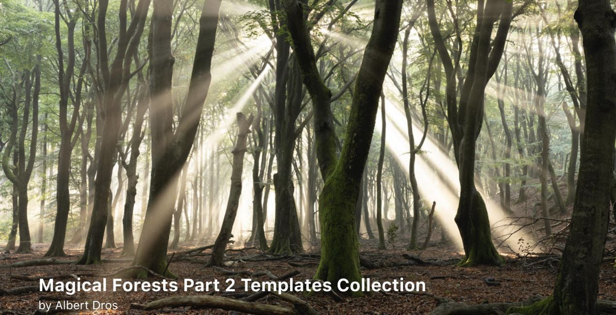 Complete Magical Forests Bundle is a photo enhancement asset for Luminar(43)