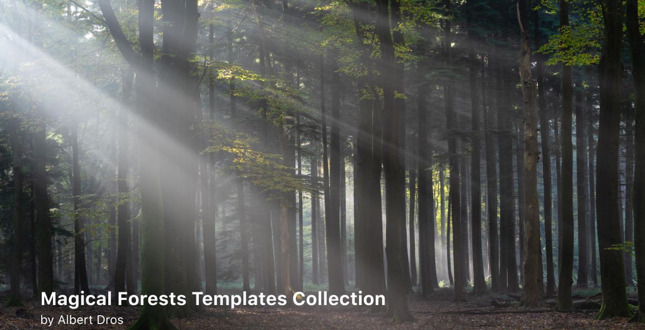 Complete Magical Forests Bundle is a photo enhancement asset for Luminar(45)