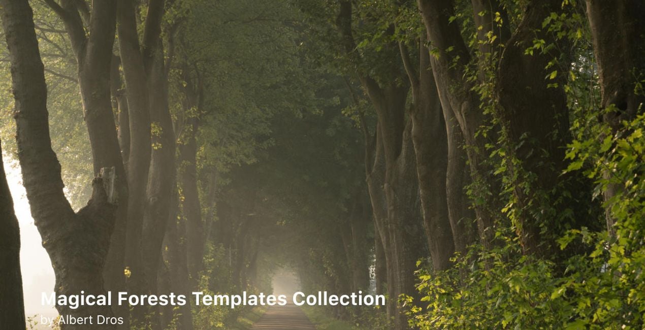 Complete Magical Forests Bundle is a photo enhancement asset for Luminar(49)