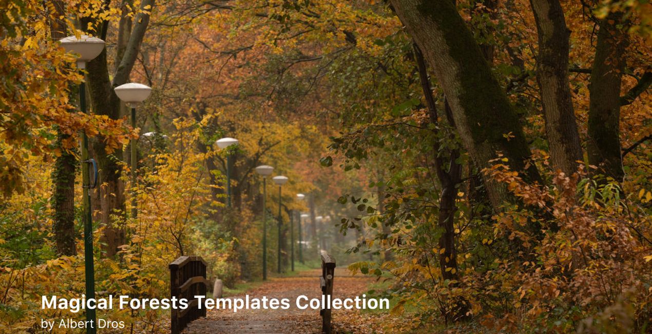 Complete Magical Forests Bundle is a photo enhancement asset for Luminar(51)