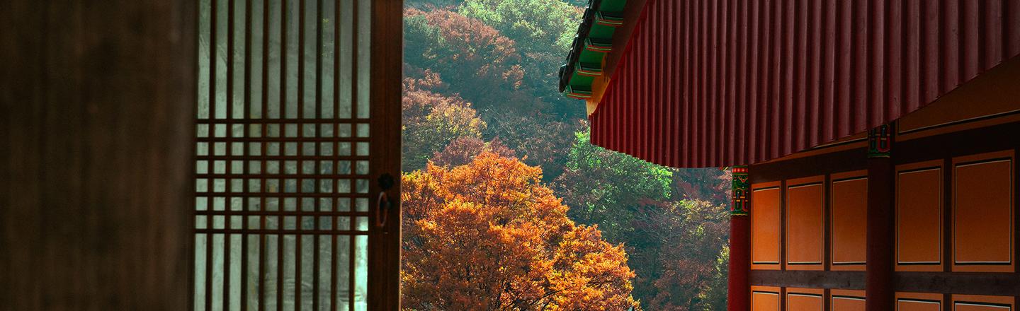 Autumn in the East — slide 2