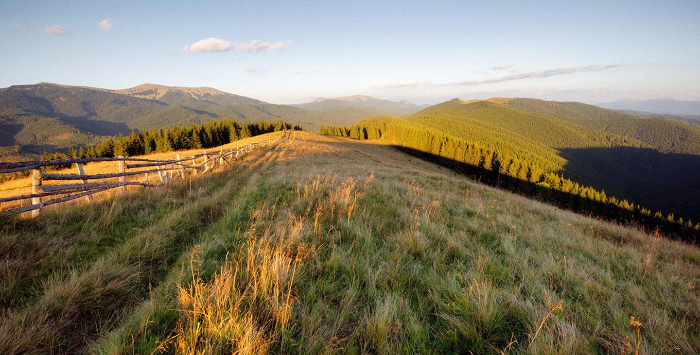 Picture-Perfect Landscapes — slide 2
