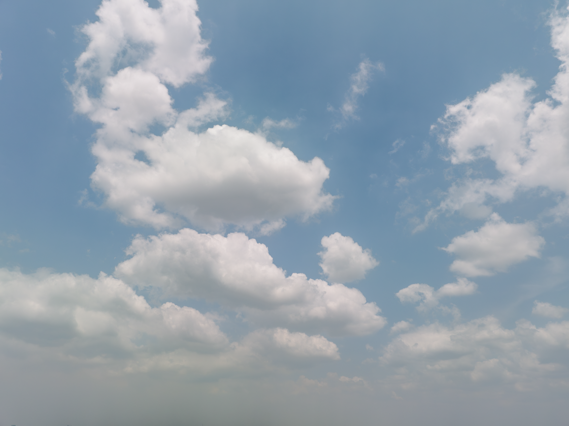 Soft Morning Skies(49)