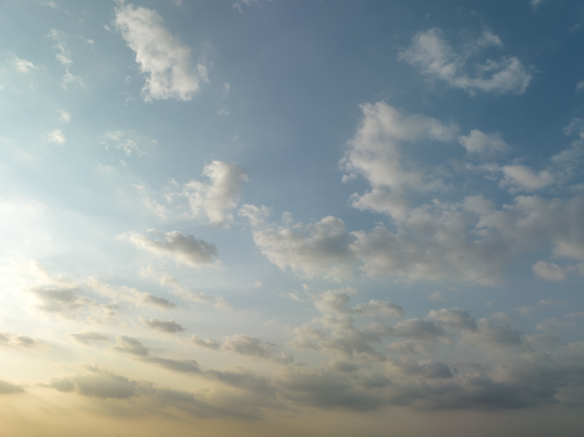 Soft Morning Skies(50)