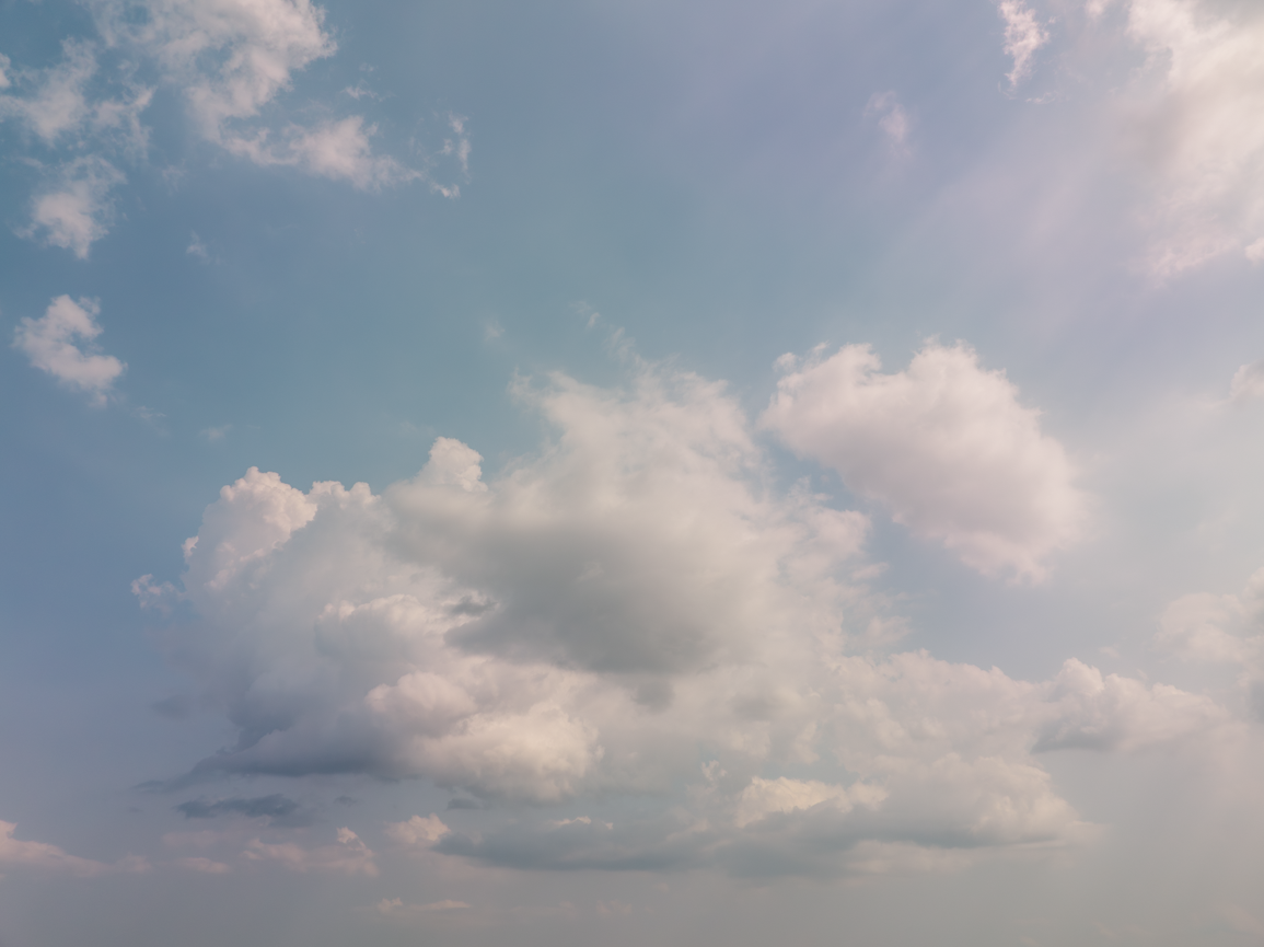 Soft Morning Skies(51)