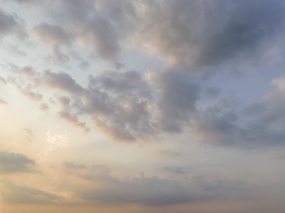 Soft Morning Skies(53)