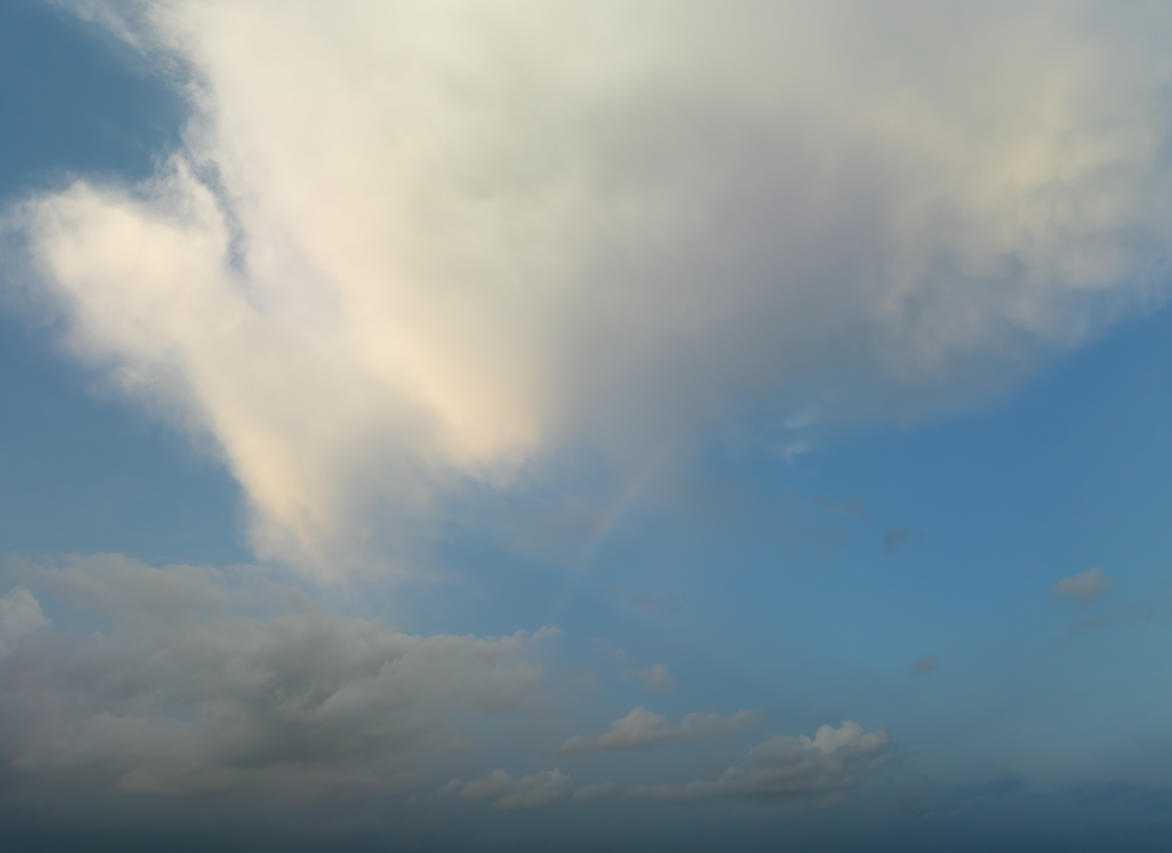 Soft Morning Skies(56)