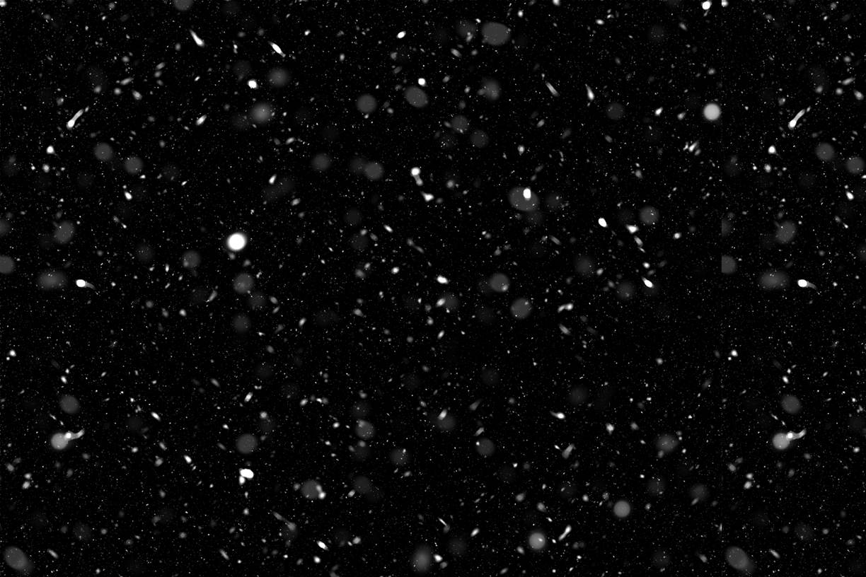 Let It Snow Overlays(71)