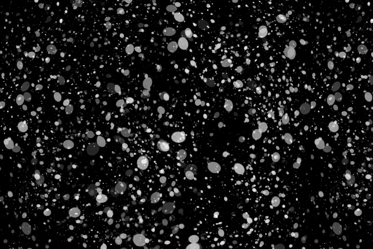 Let It Snow Overlays(82)