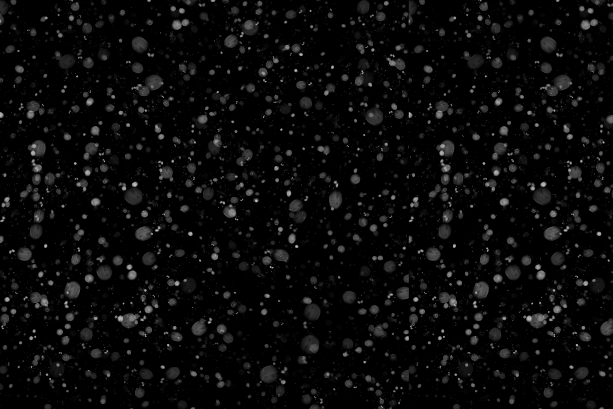 Let It Snow Overlays(116)