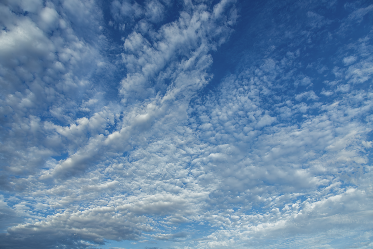 Southern Drama  Skies(61)