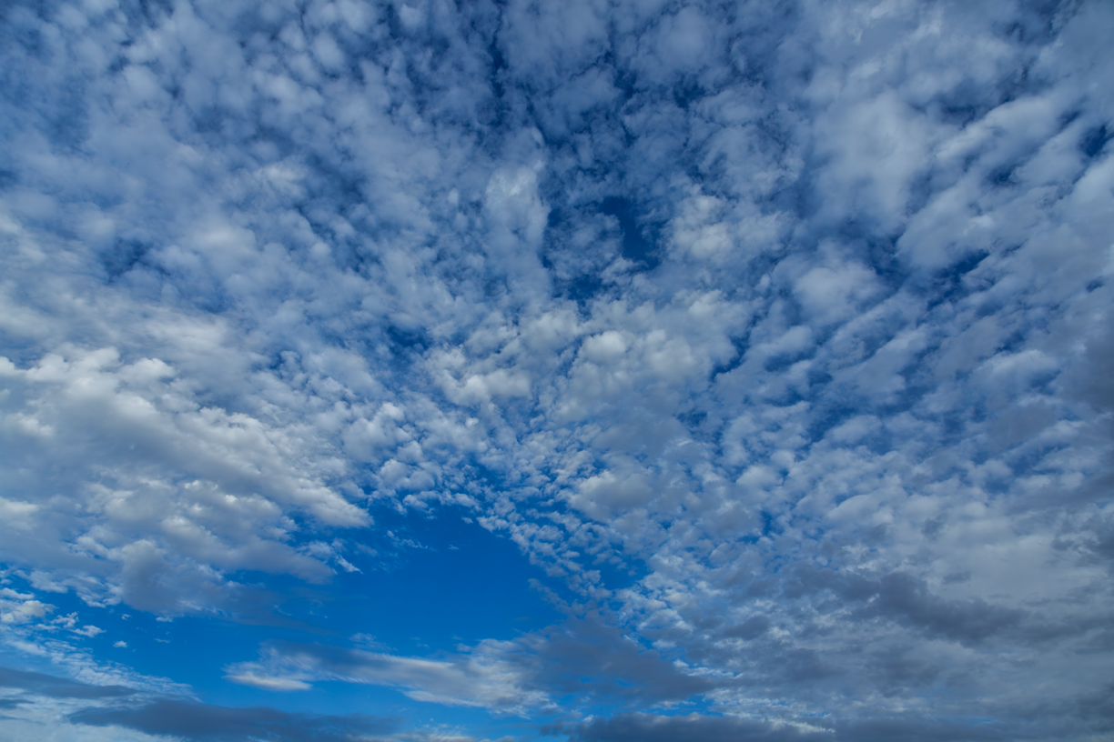 Southern Drama  Skies(63)