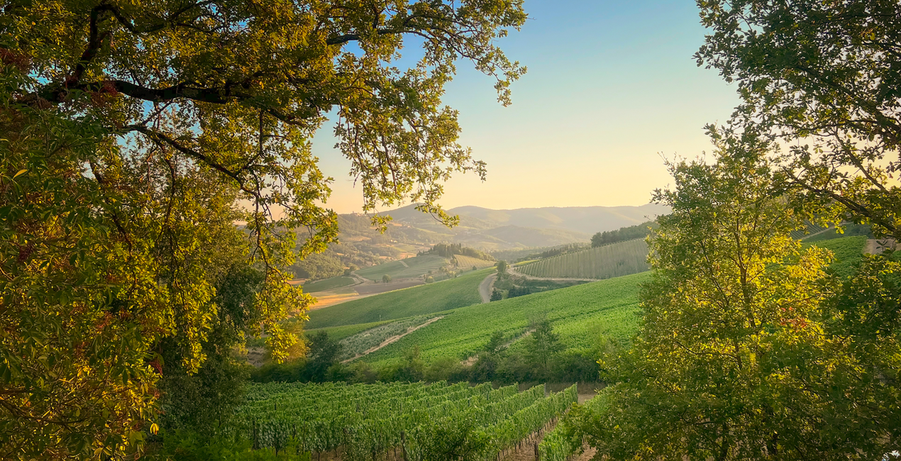 Views of Tuscany Presets(50)