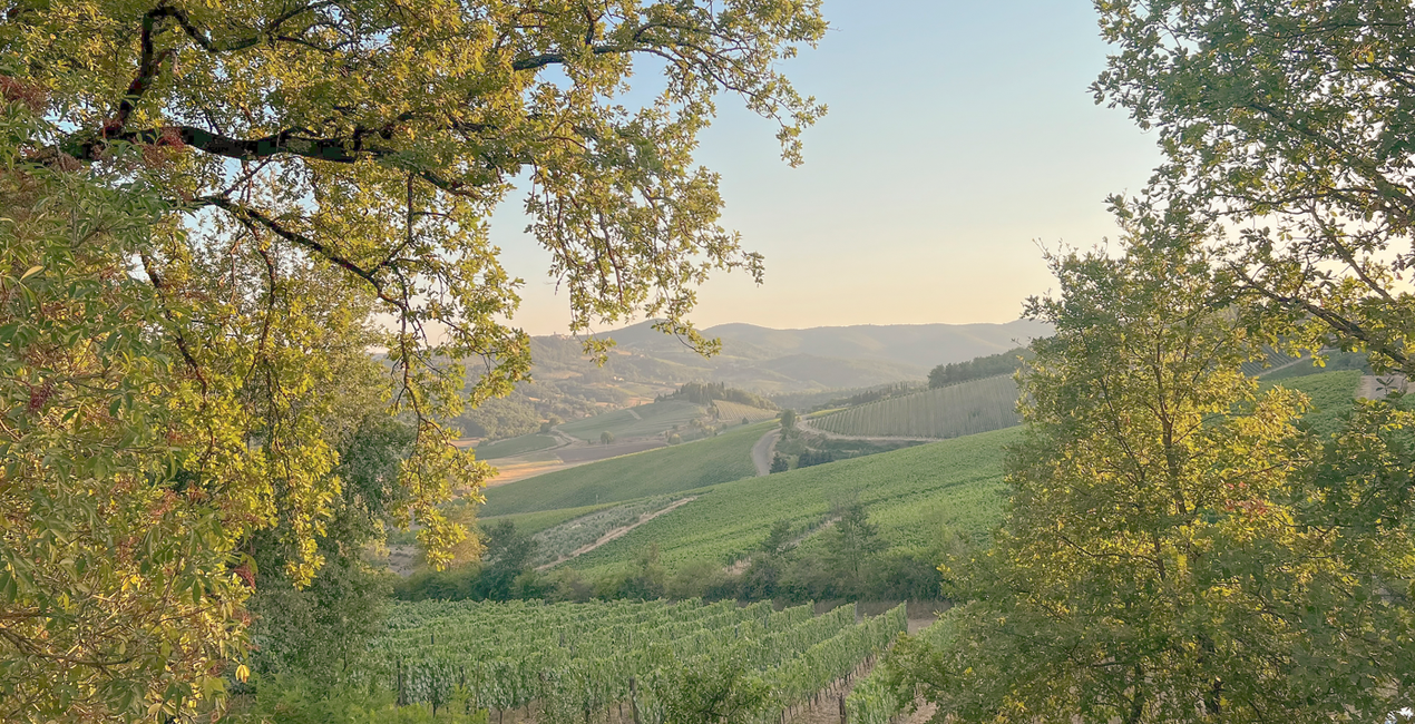 Views of Tuscany Presets(49)