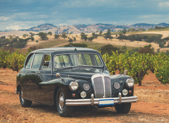 Vintage Fade LUTs image