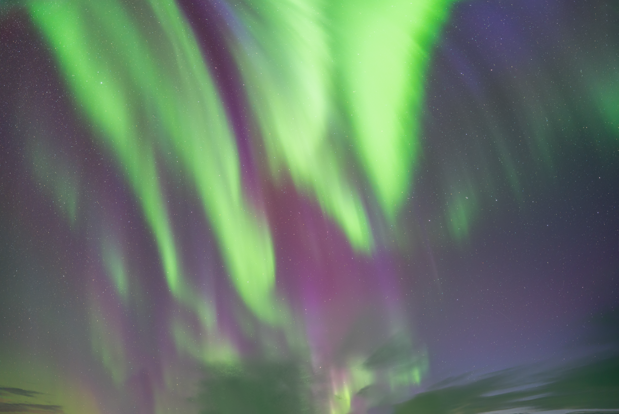 Nordic Nights Skies(65)