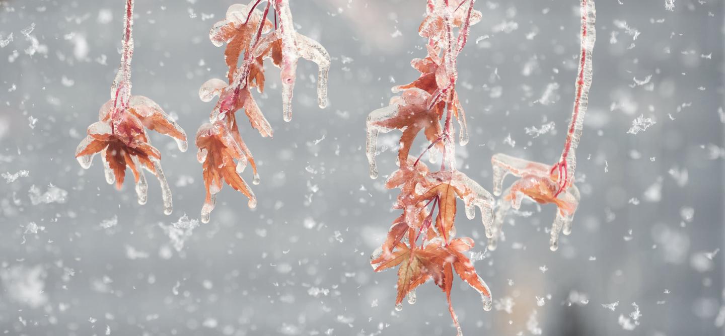 Winter Wonderland Overlays — slide 1