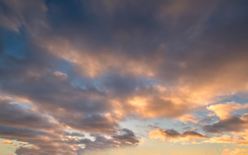 Skies included in the pack(10)