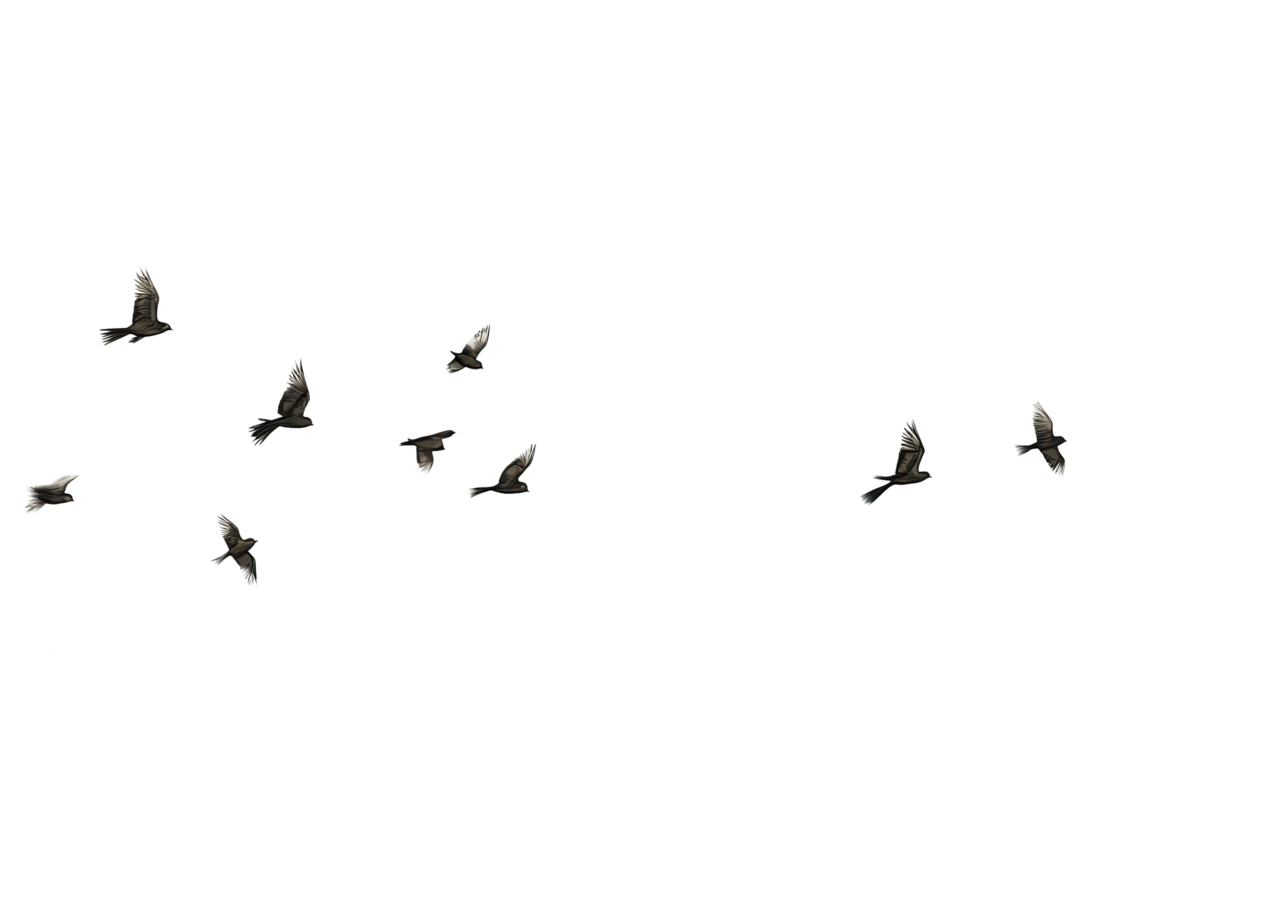 Winter Overlays Collection(49)