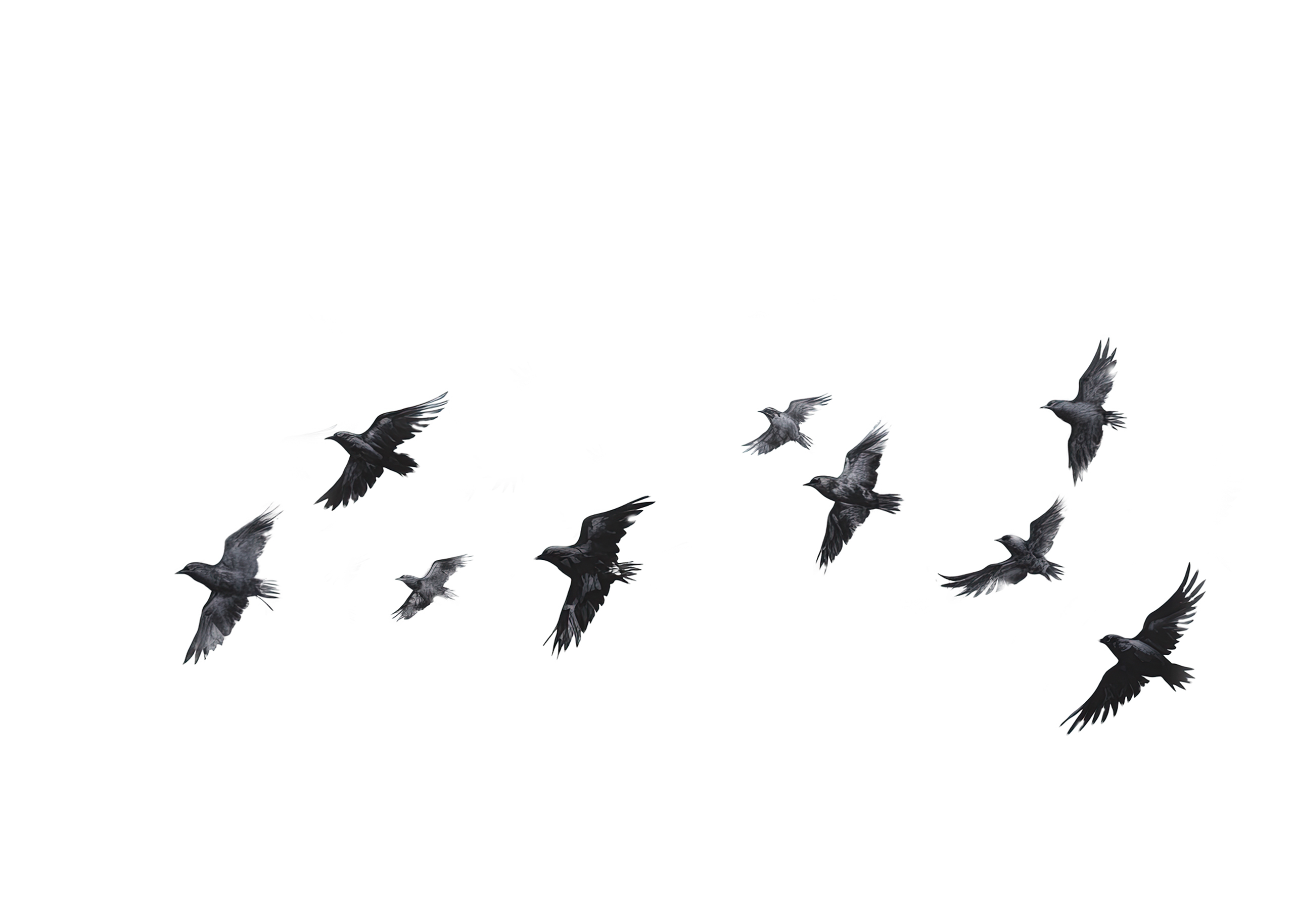 Winter Overlays Collection(51)