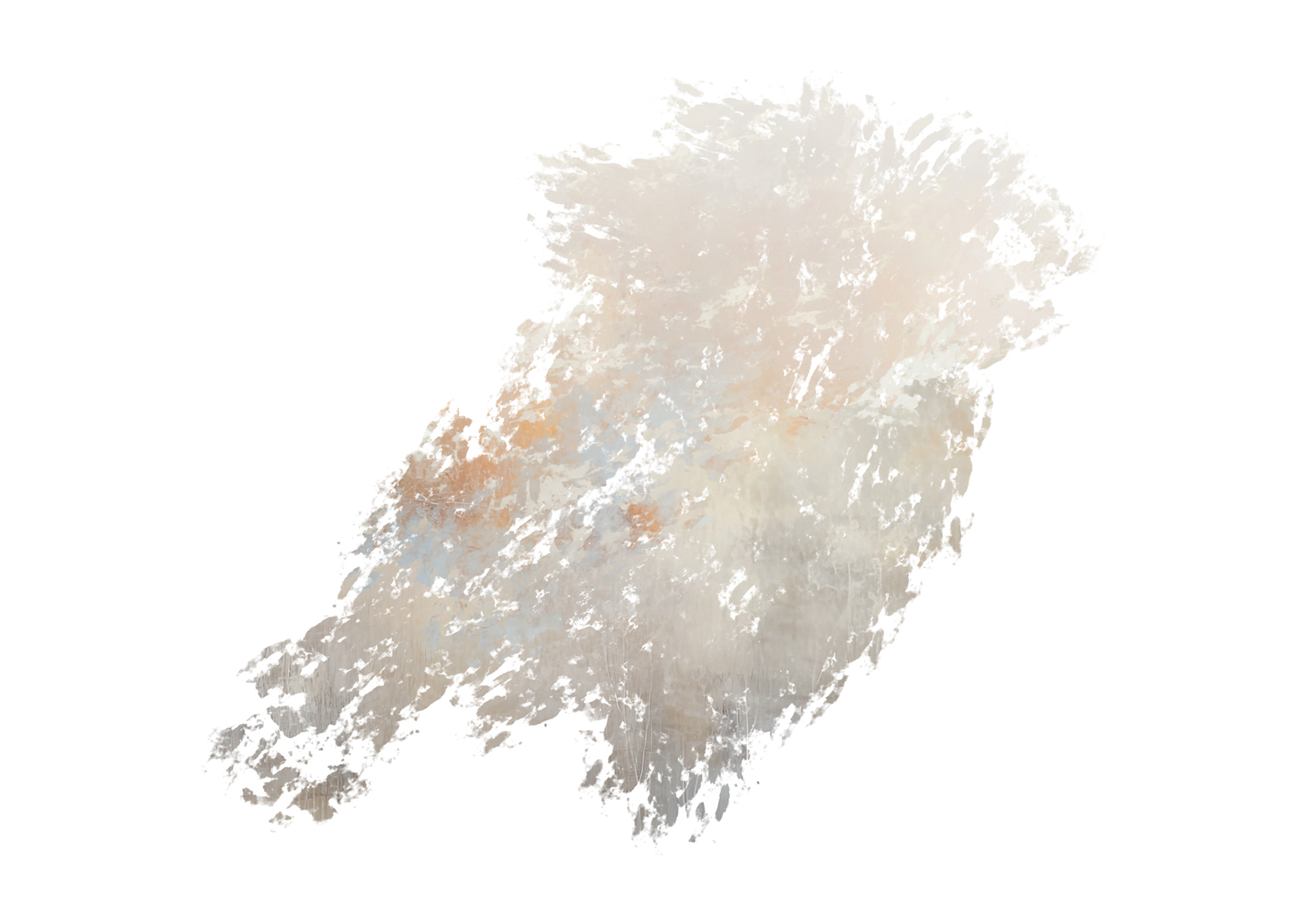 Winter Overlays Collection(52)