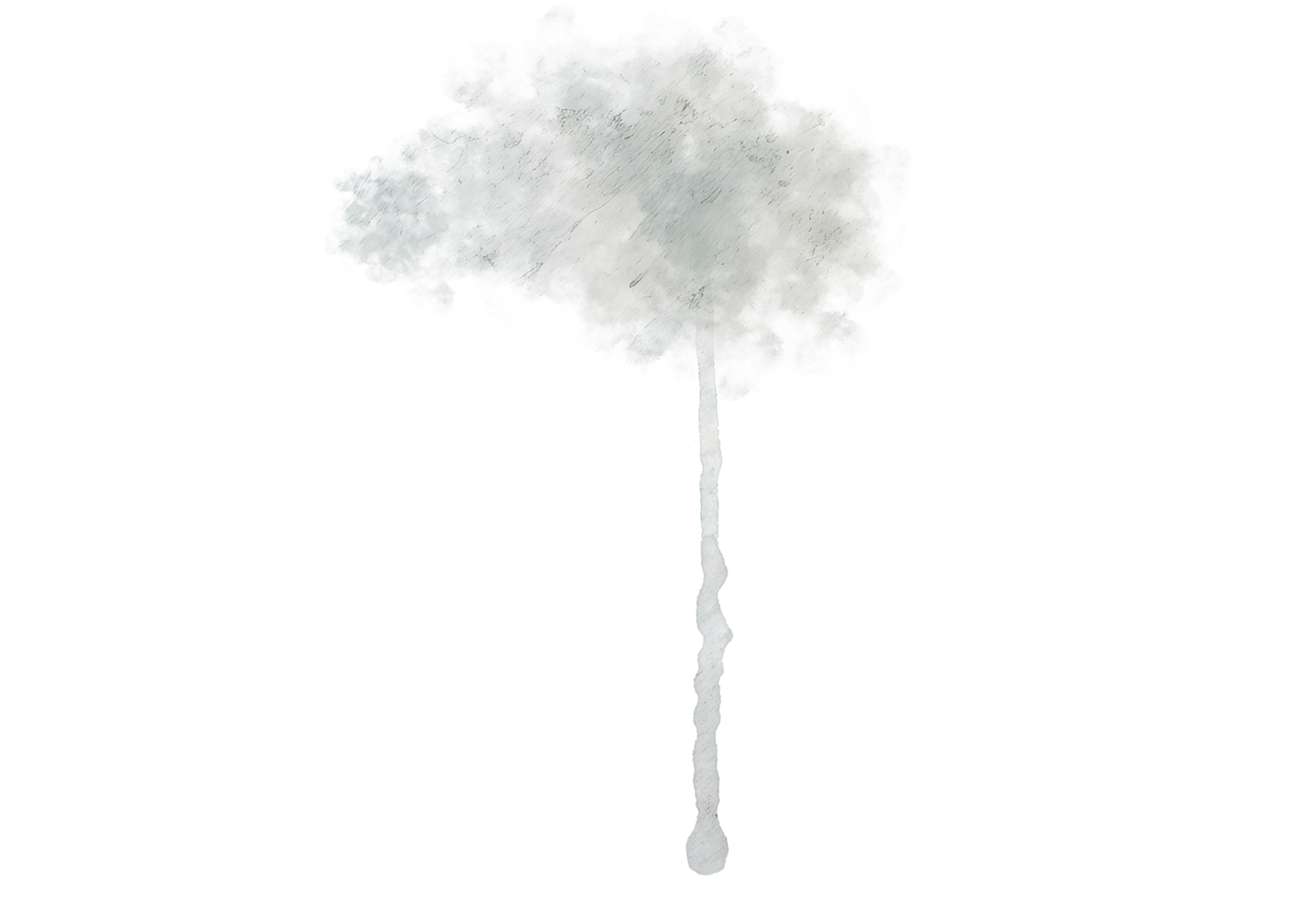 Winter Overlays Collection(60)