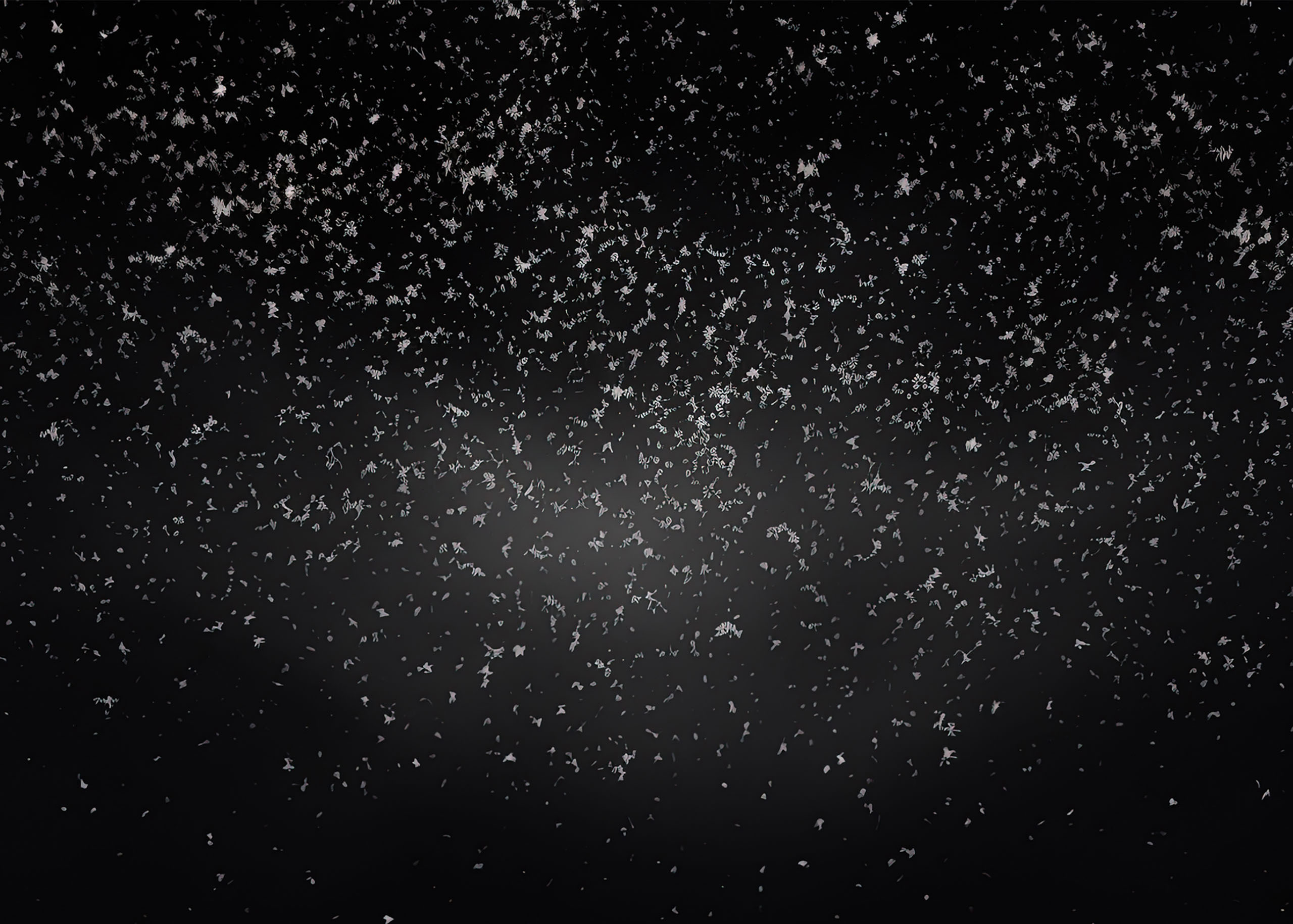 Winter Overlays Collection(62)