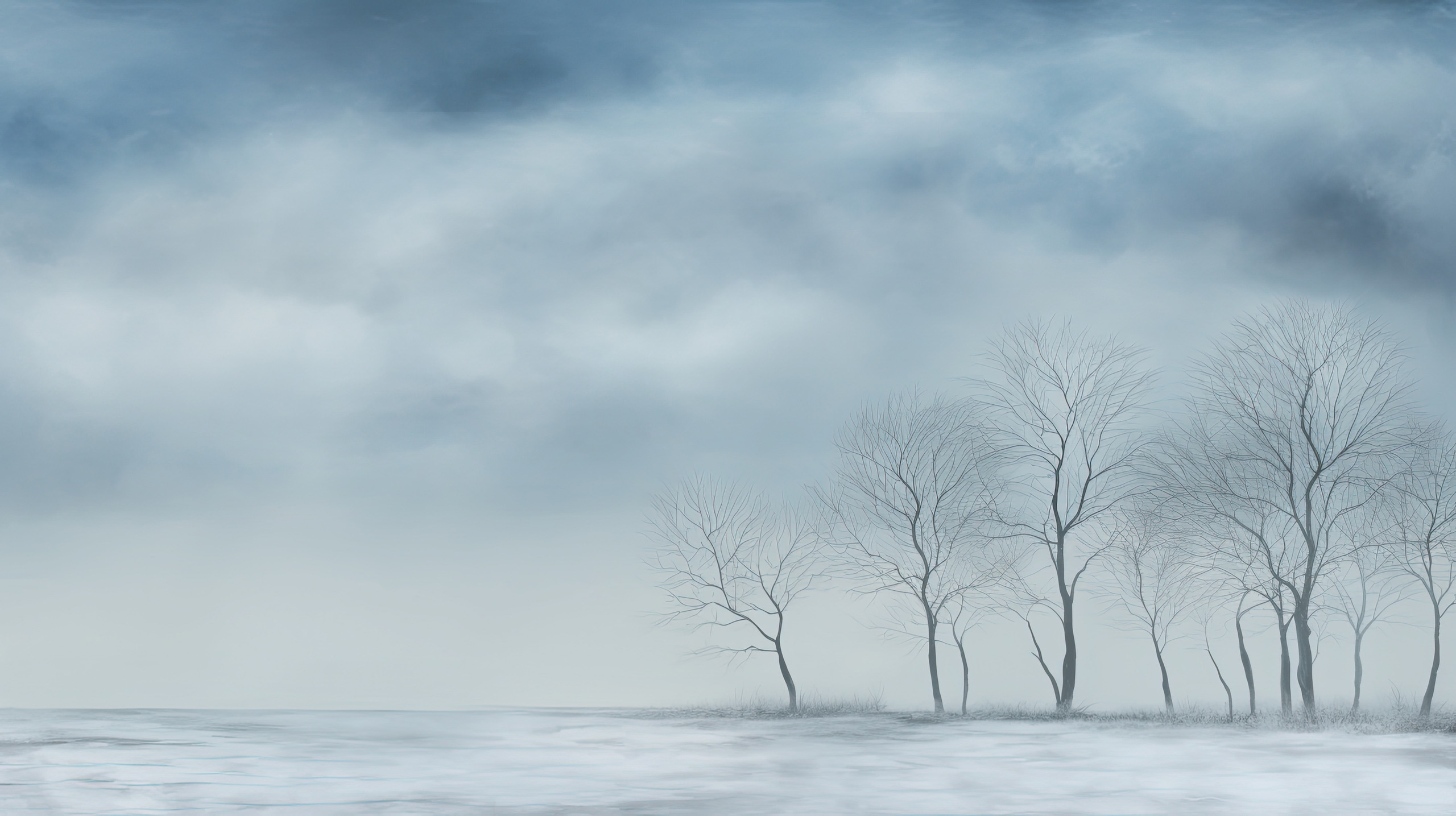 Winter Overlays Collection(72)