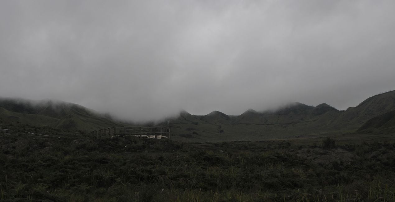 Foggy Landscapes(45)