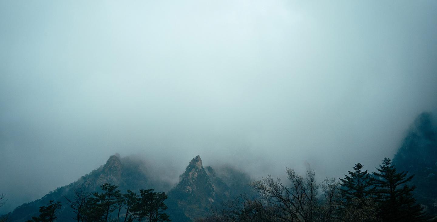 Foggy Landscapes — slide 2
