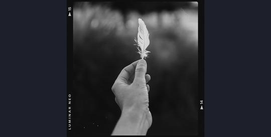 Analog Frames image