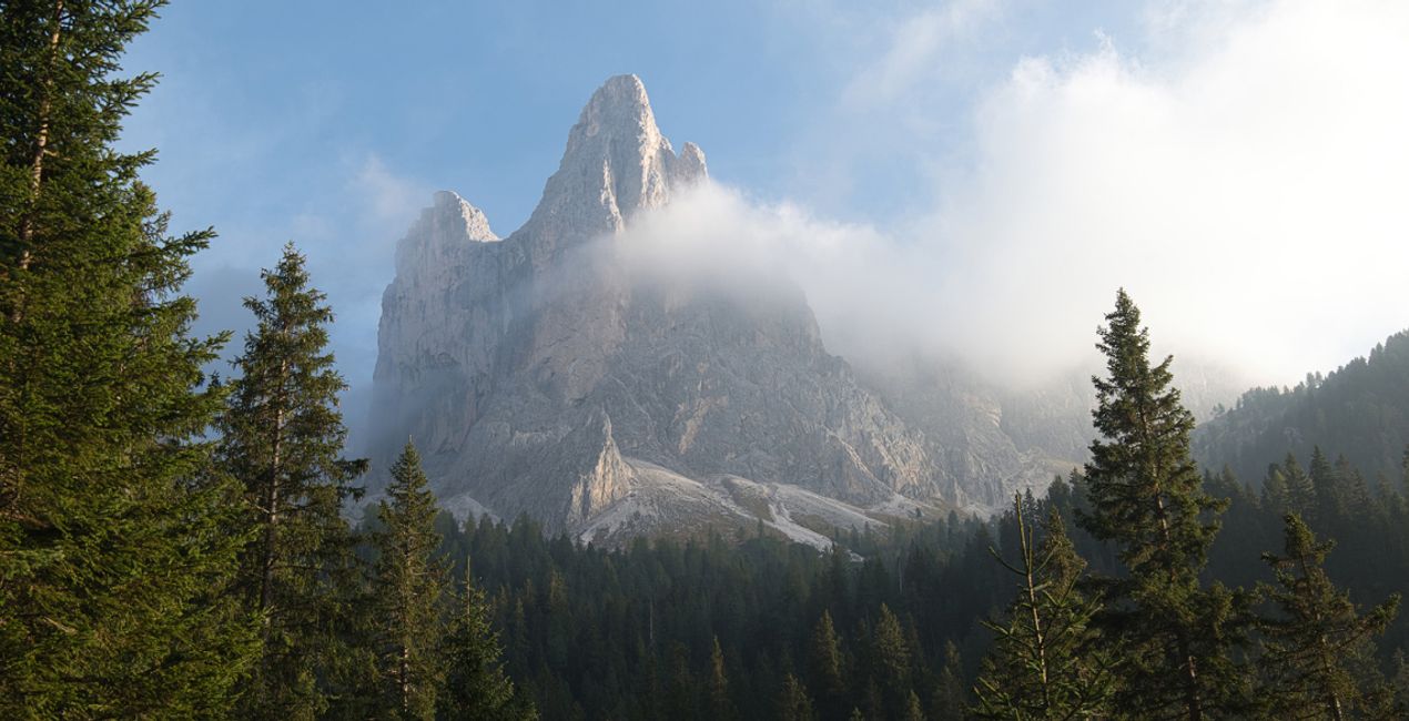 Forest Photography Masterclass Course(40)