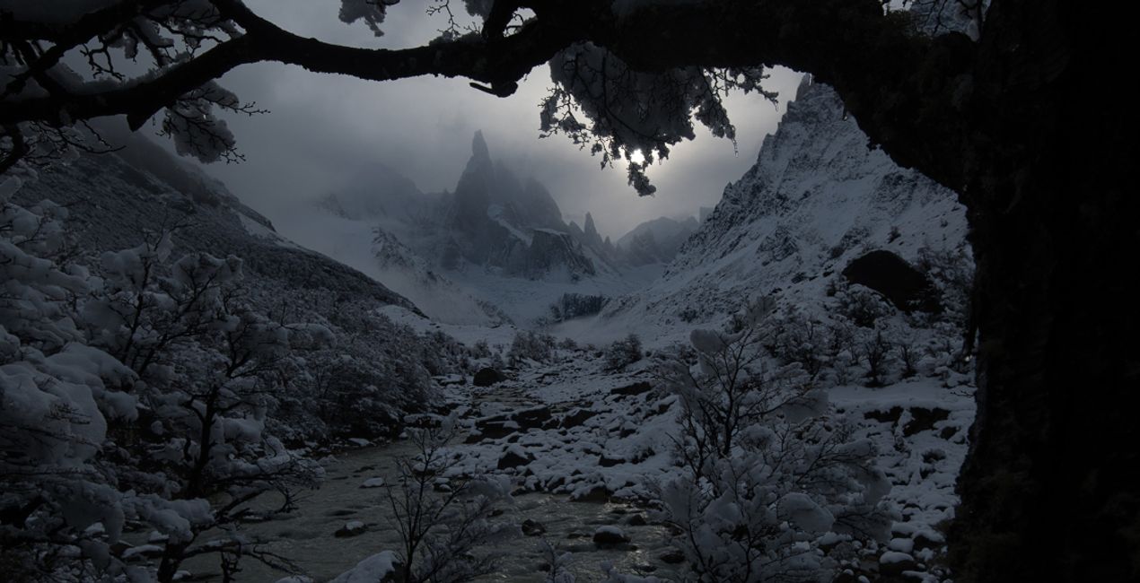 Forest Photography Masterclass Course(48)