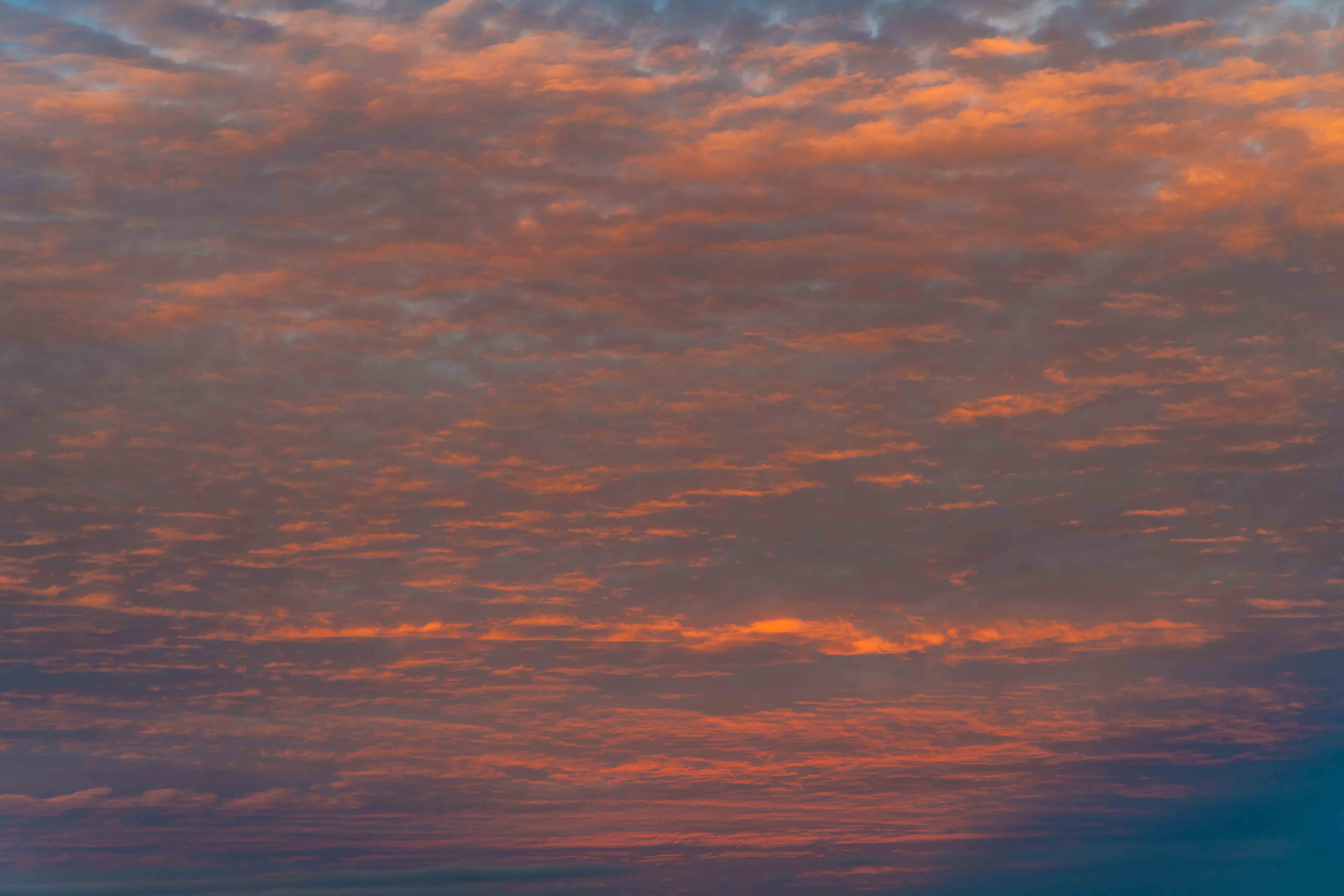 Rosy Sunsets Skies(51)