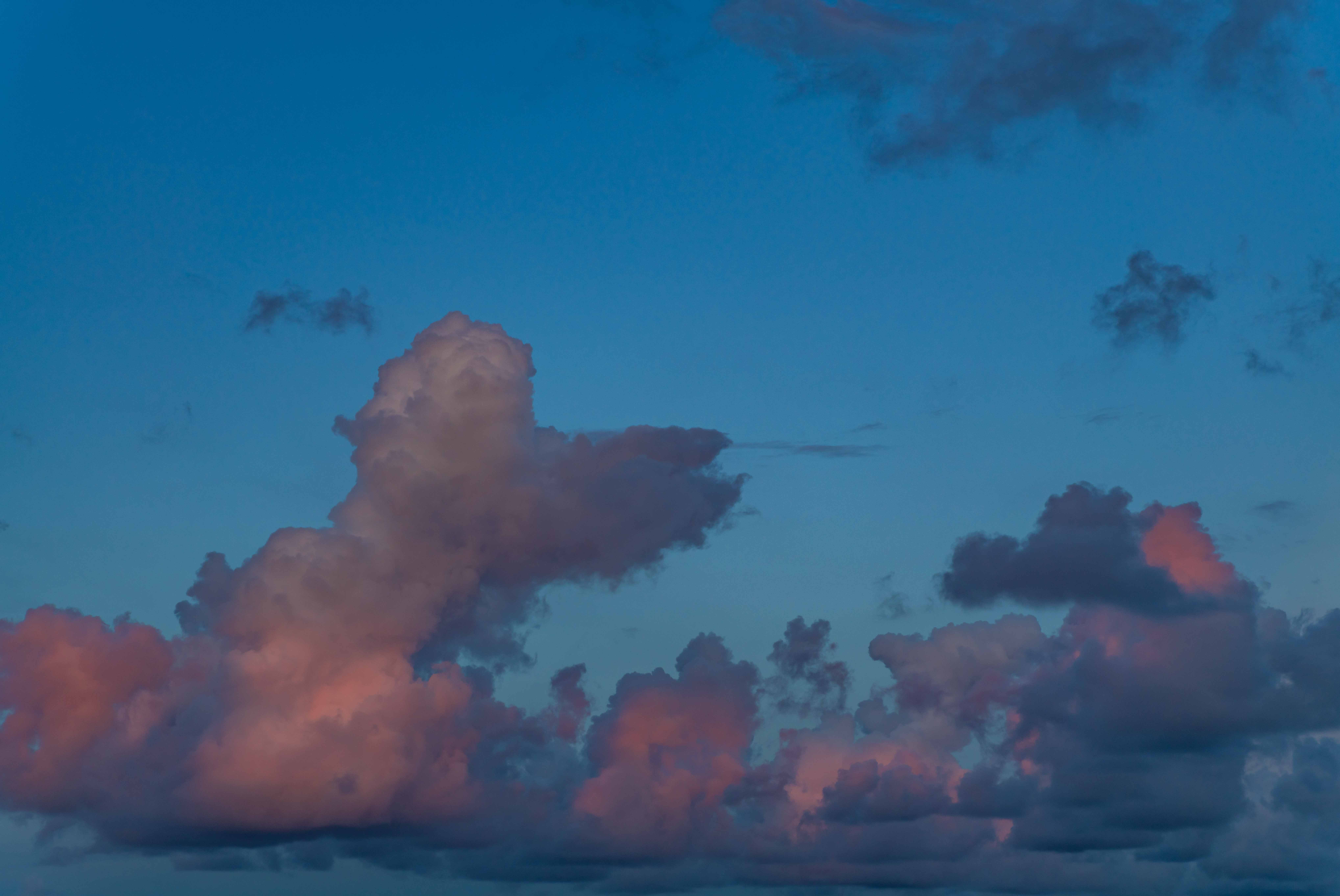 Rosy Sunsets Skies(55)