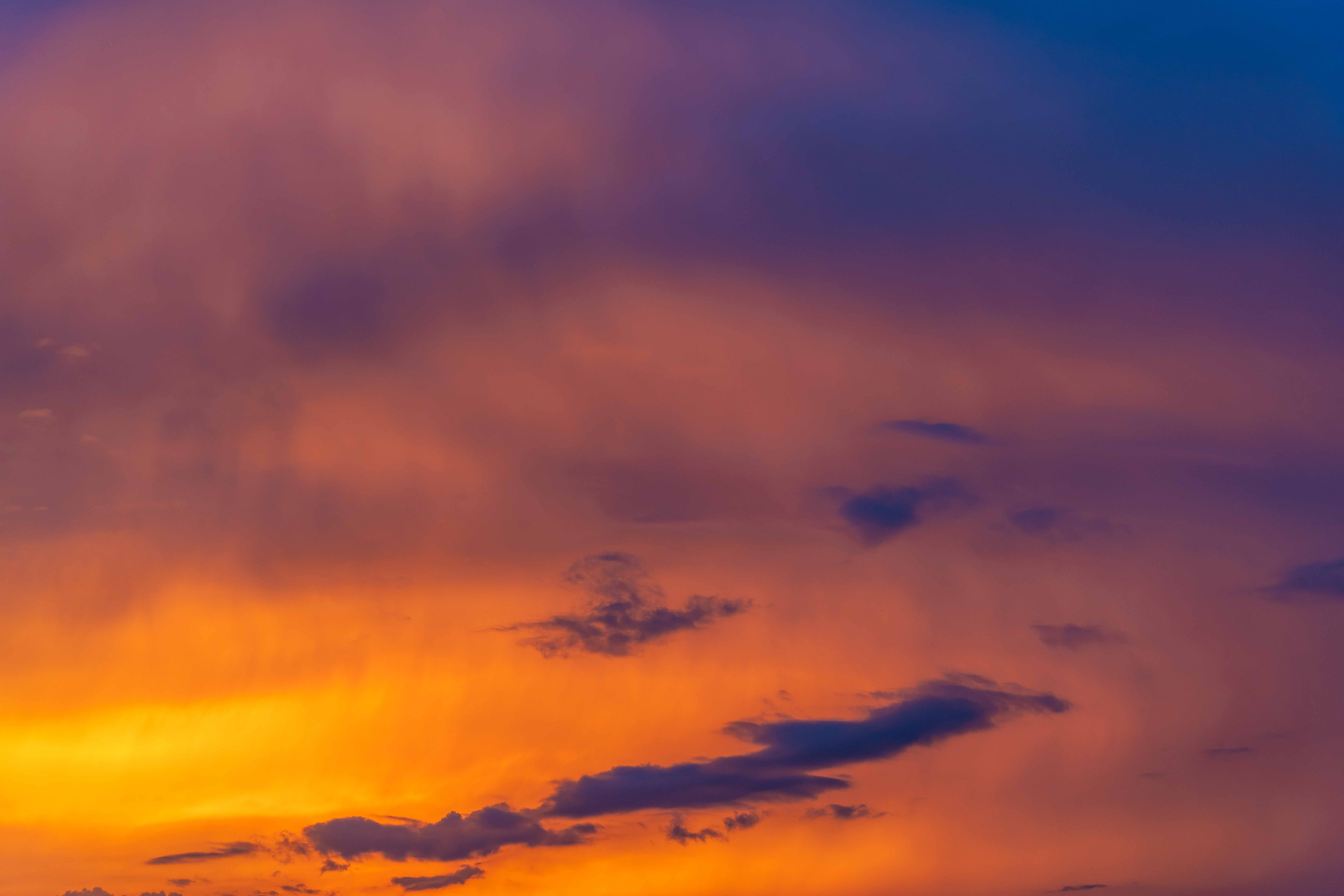 Rosy Sunsets Skies(59)