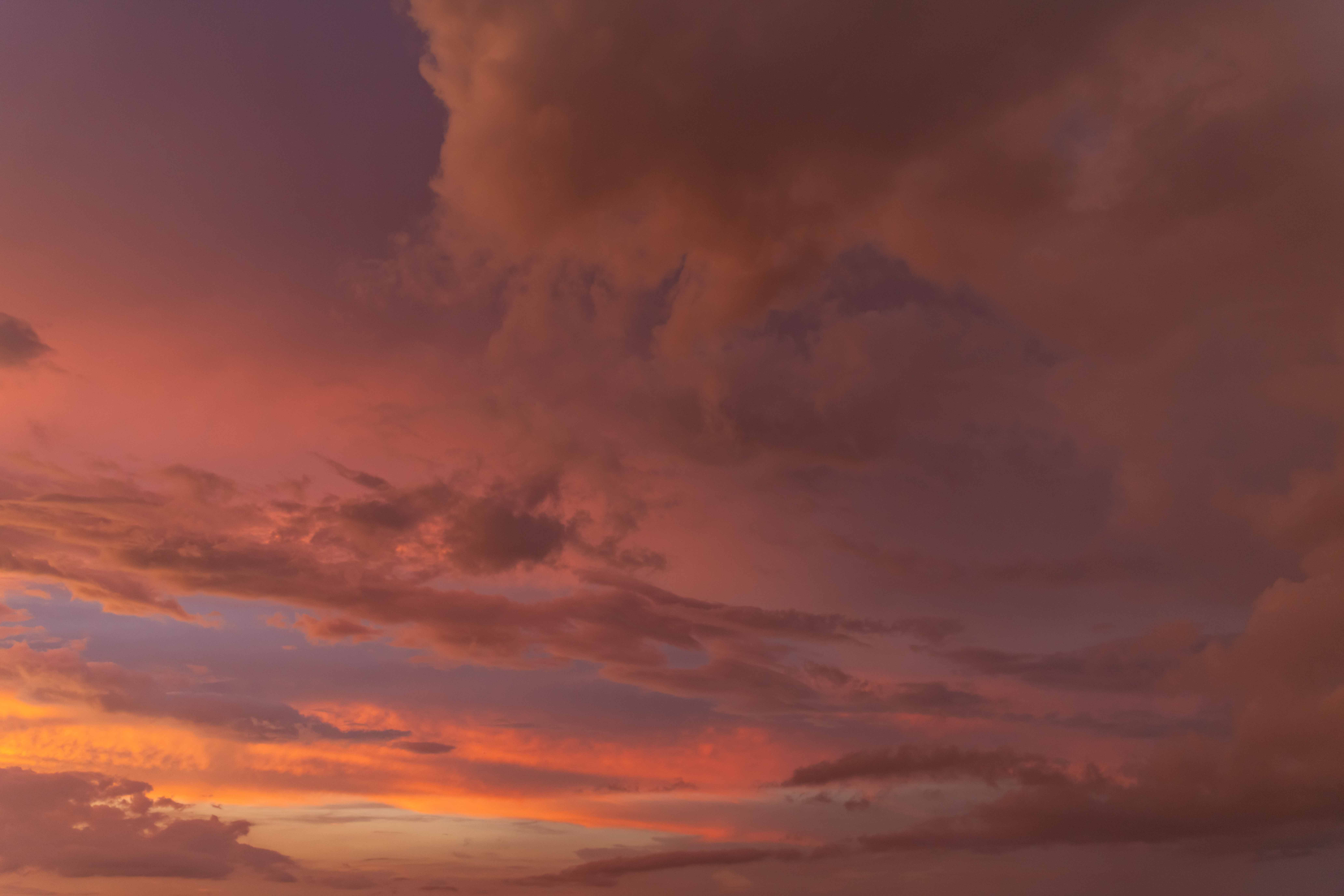 Rosy Sunsets Skies(66)