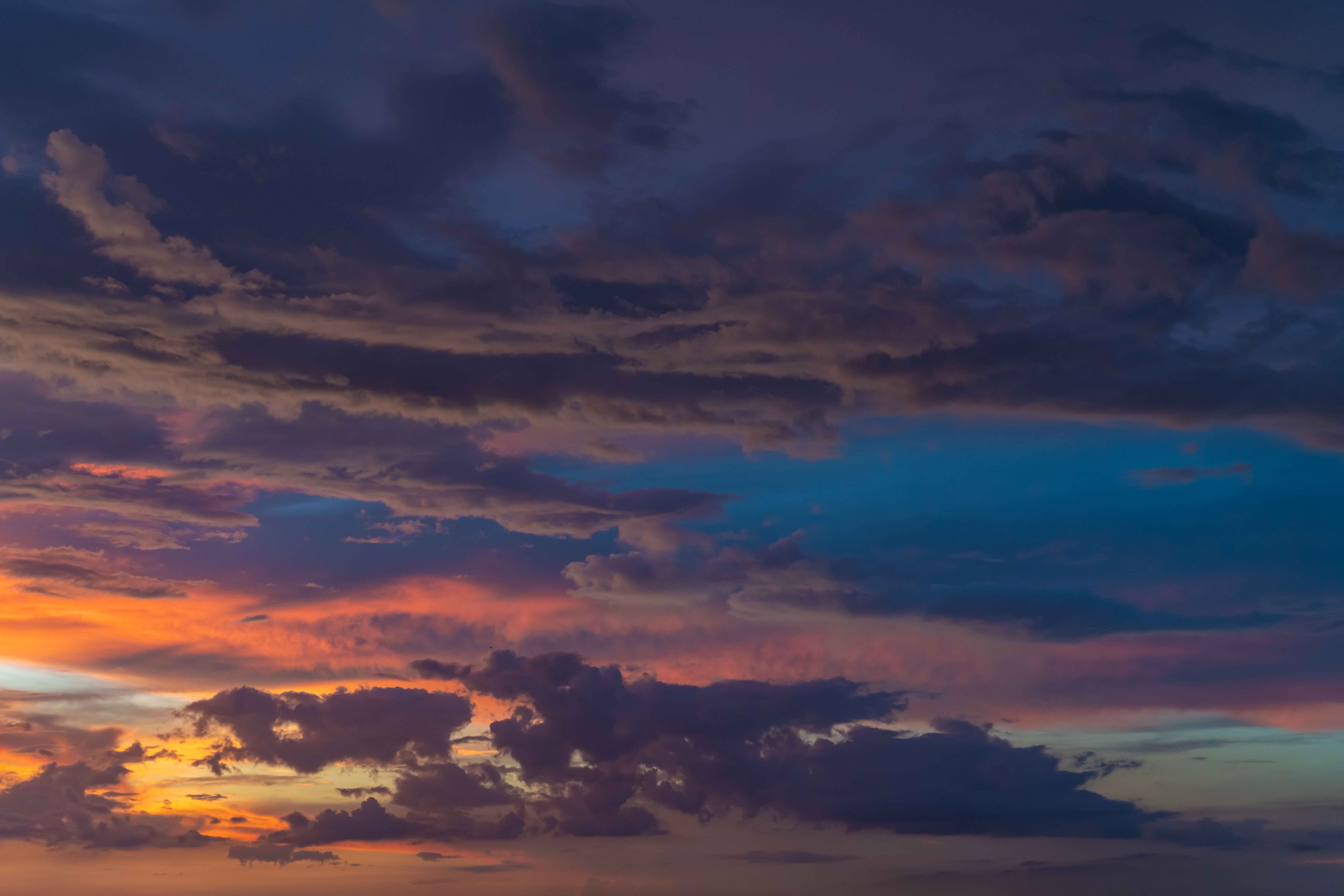 Rosy Sunsets Skies(69)