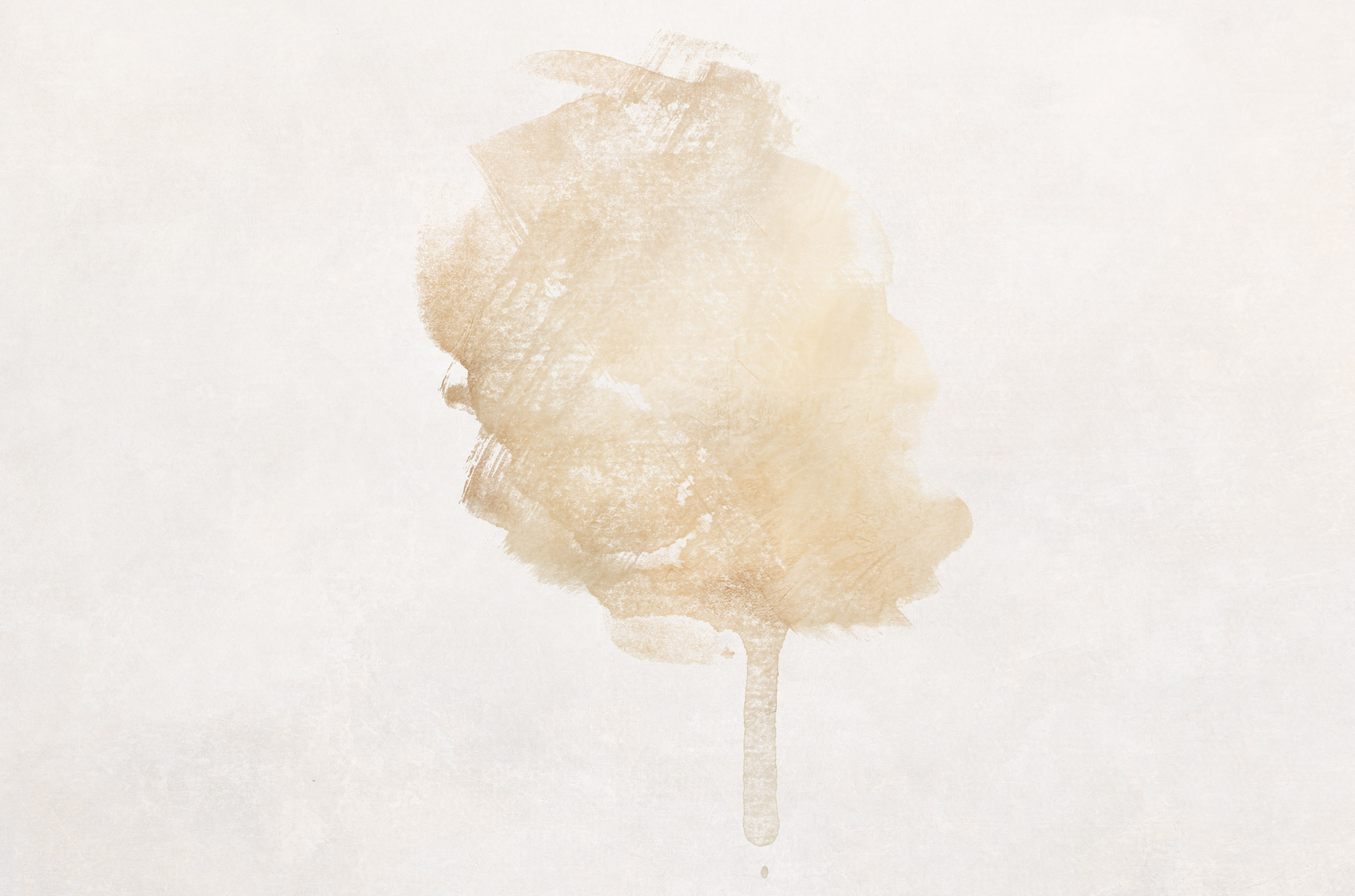 Romance Brush Overlays(51)