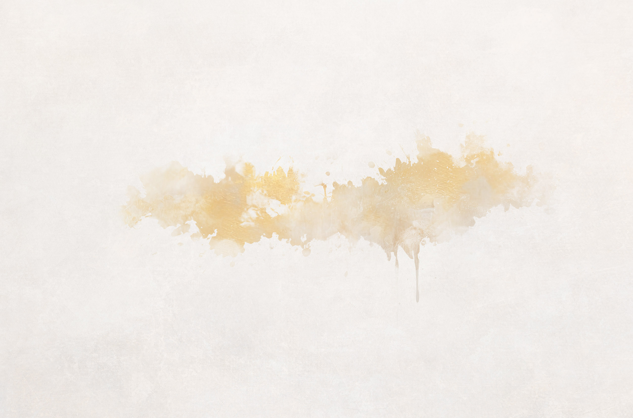 Romance Brush Overlays(55)