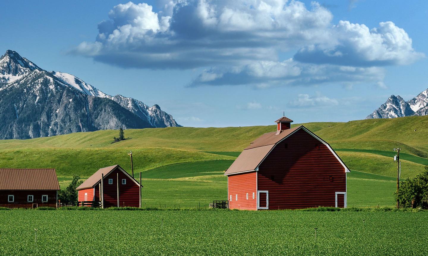 Countryside Landscape Kit — slide 1