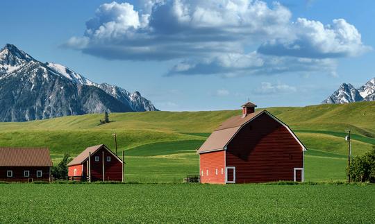 Countryside Landscape Kit image