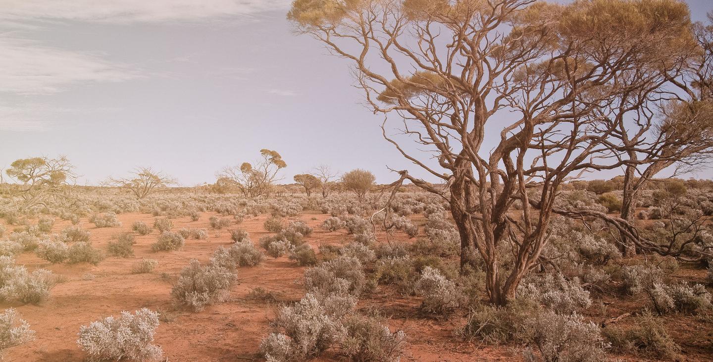 Australia Unveiled — slide 2