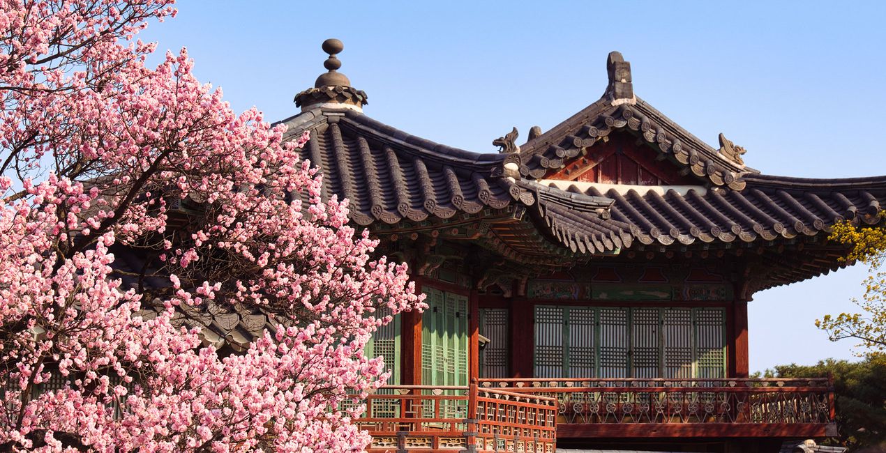 Seoul in Bloom Presets(42)