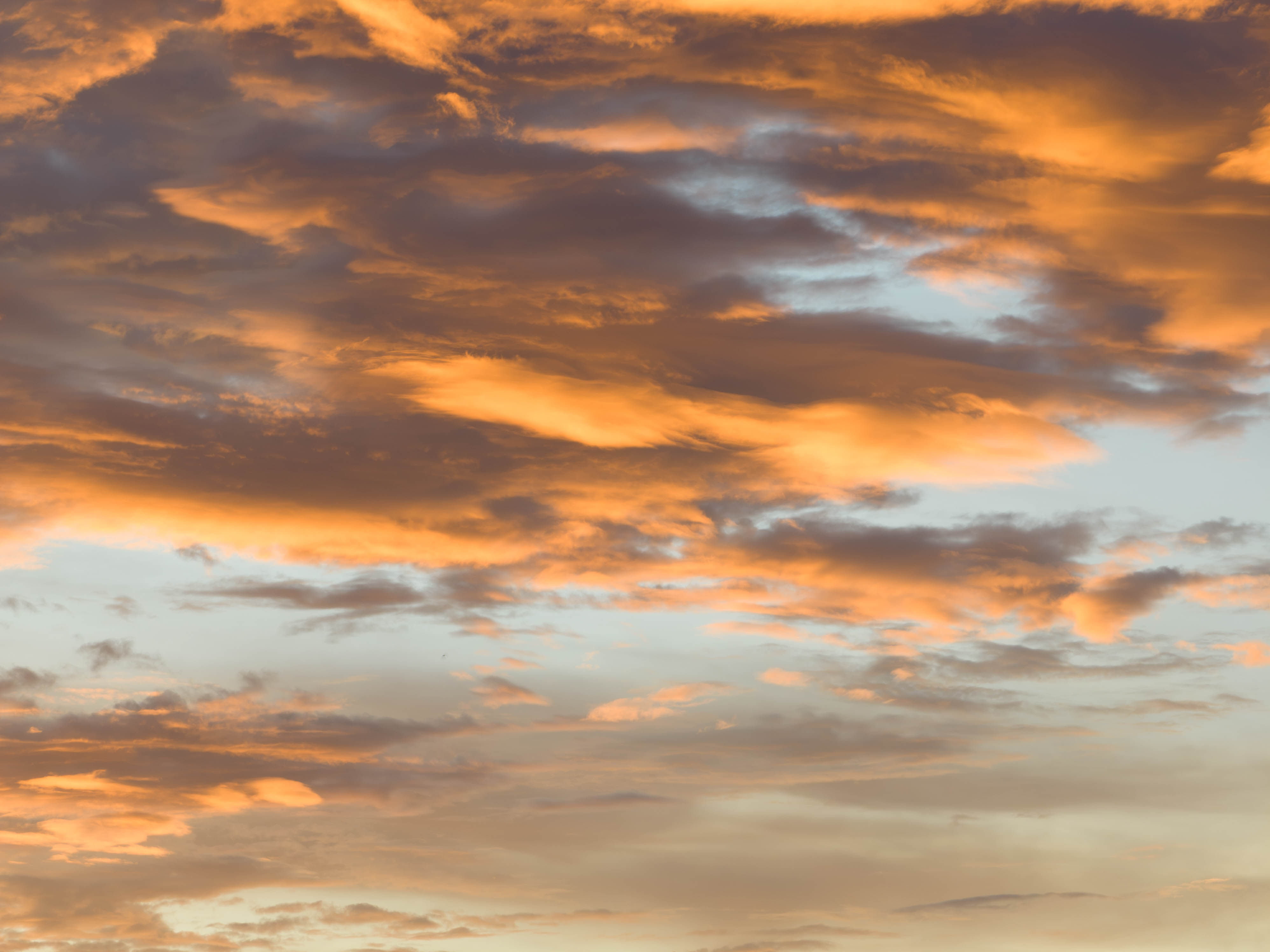 Setting Sun Glory Skies for Luminar | Marketplace (50)